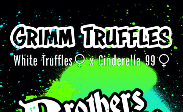 New strains and testers Brothers Grimm Seeds 2022-2023