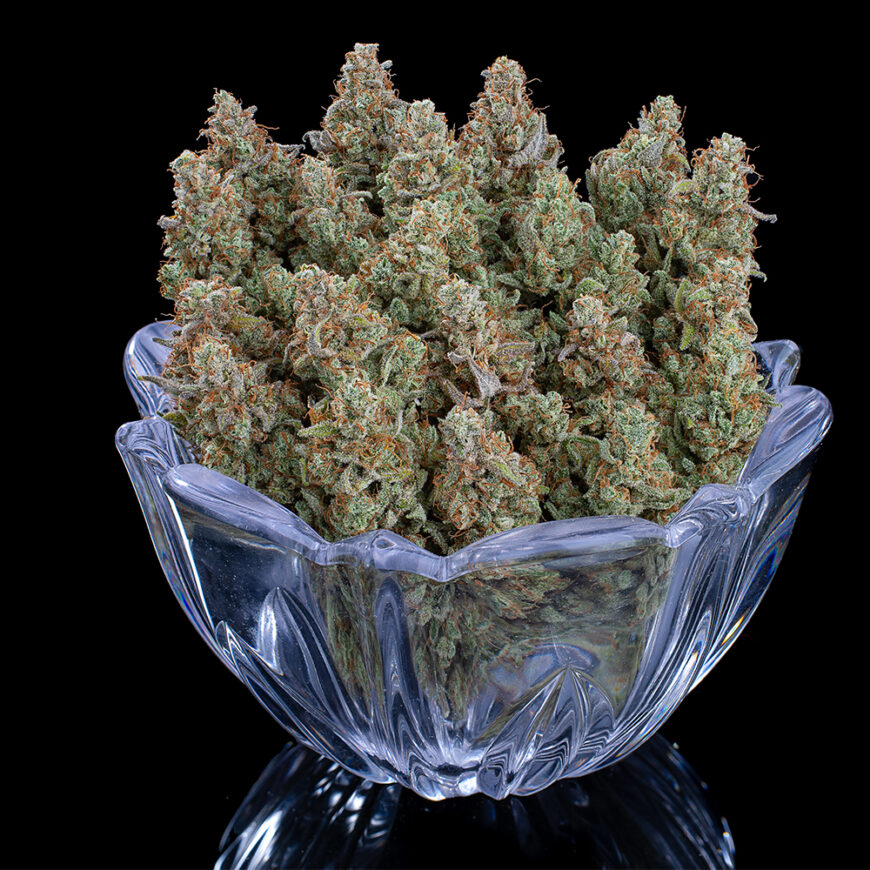 GrimmMints_Bowl_cropped