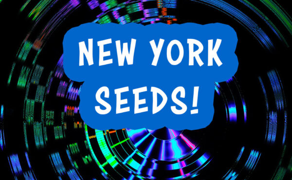 New Feminized Seeds New York