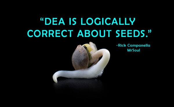 DEA is logically correct about Seeds