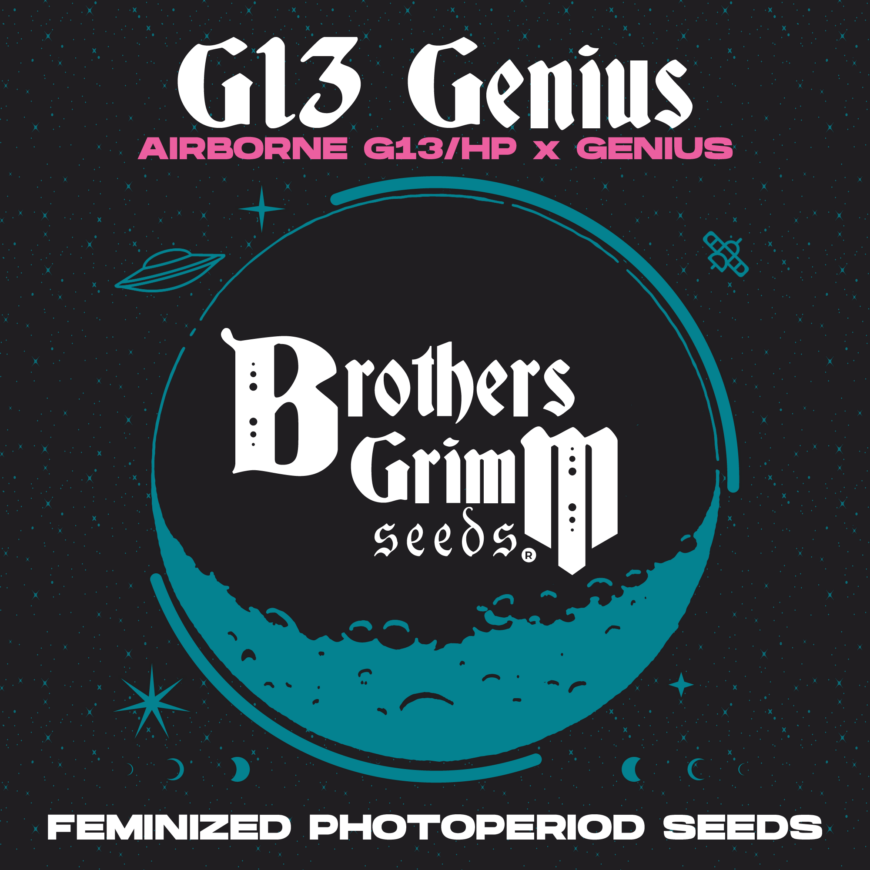 G13Genius-Strain-by-Brothers-Grimm-Seeds