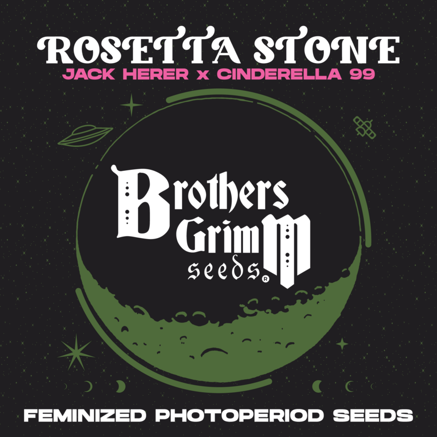 RosettaStone-Strain-by-Brothers-Grimm-Seeds