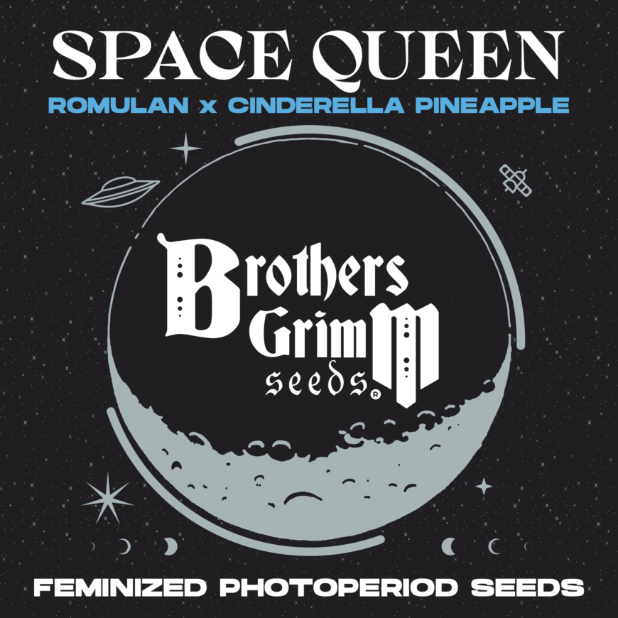 SpaceQueen-Strain-by-Brothers-Grimm-Seeds