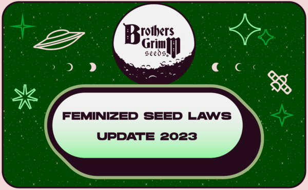 1_Feminized Seed Laws Update 2023