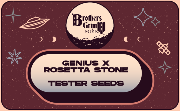 1_Genius x Rosetta Stone New Strain 2023