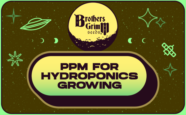 2_PPM for Hydroponics Growing