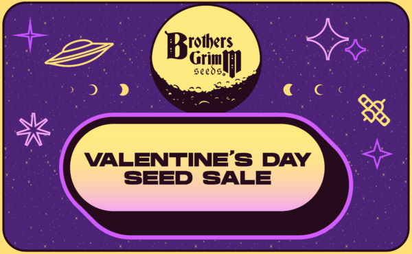 2_Valentines Day Seed Sale
