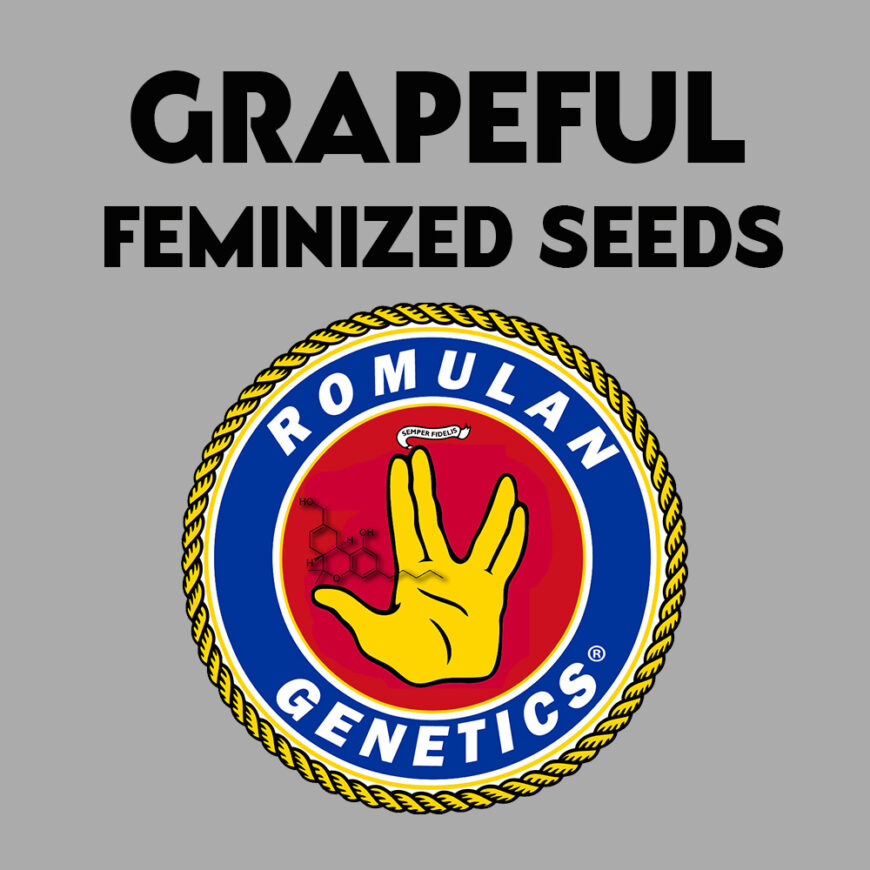 Grapeful Feminized Seeds Romulan Genetics