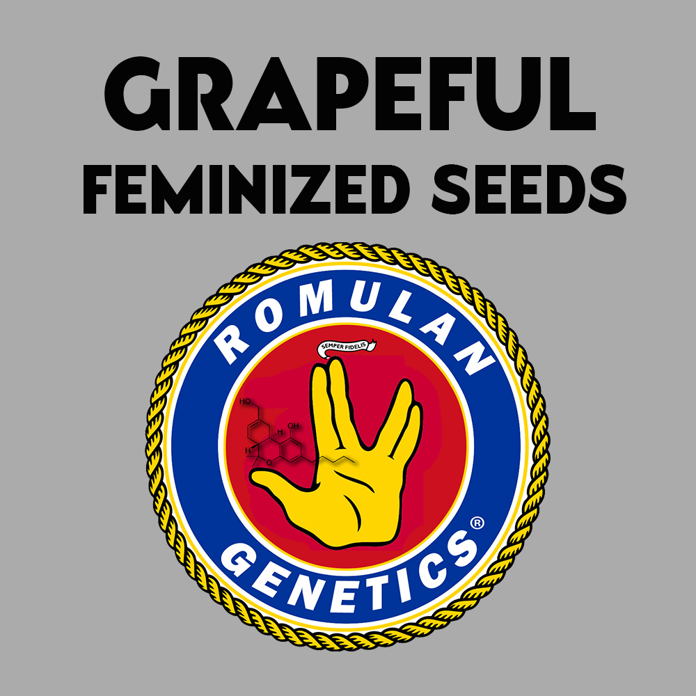 Grapeful Feminized Seeds Romulan Genetics