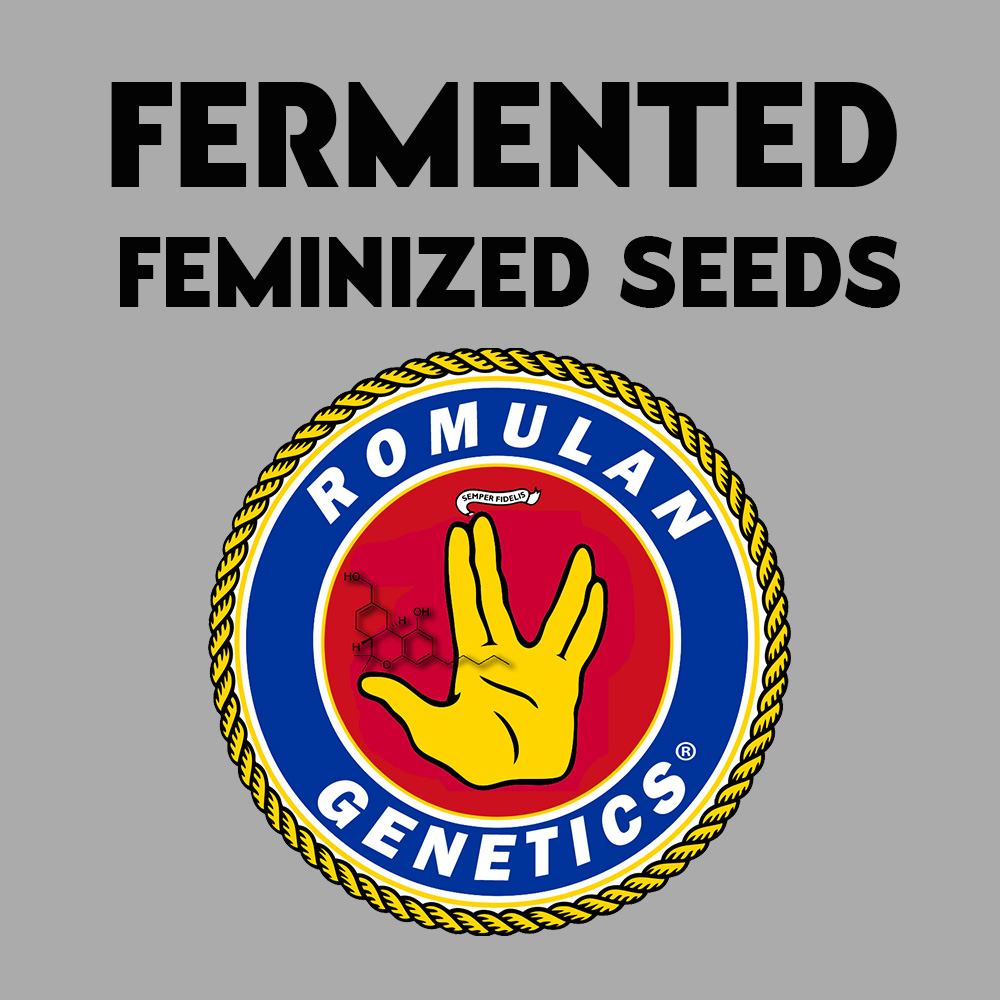 Fermented feminized seeds Romulan Genetics