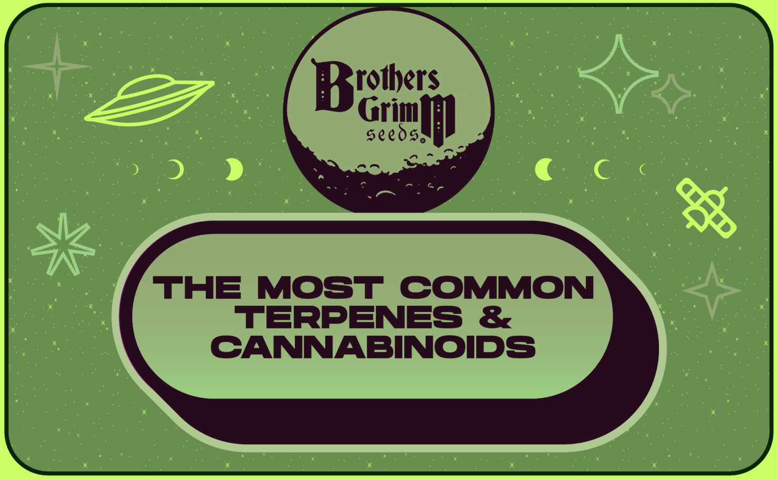 Top Terpenes And Cannabinoids In Cannabis - A Complete Guide