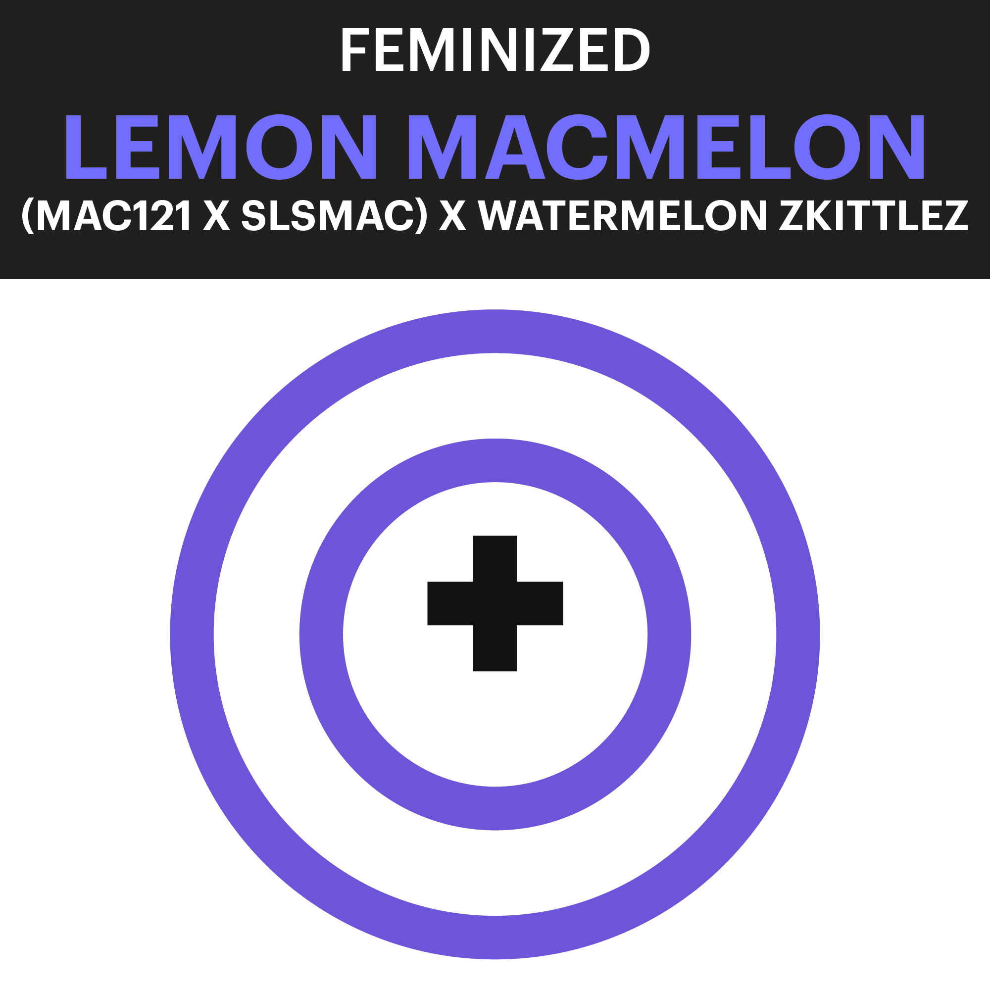 PCG_Fem_LemonMacMelon