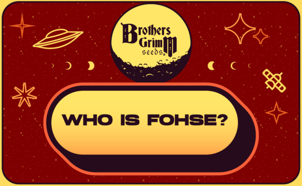 9_Who is Fohse