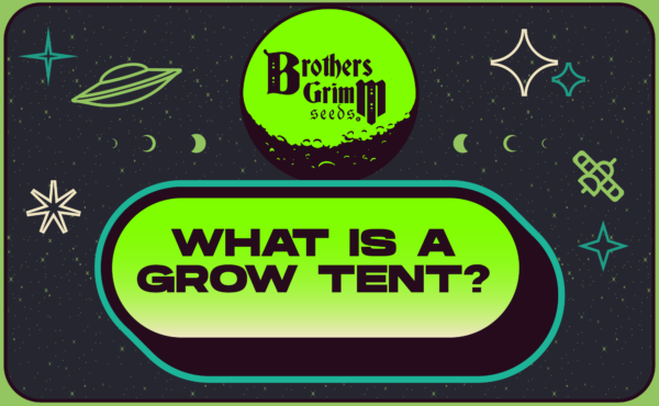 10_What is a Grow Tent