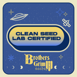 Clean Seed Verified Brothers Grimm Seeds