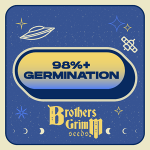 Germination Rate Verified Brothers Grimm Seeds