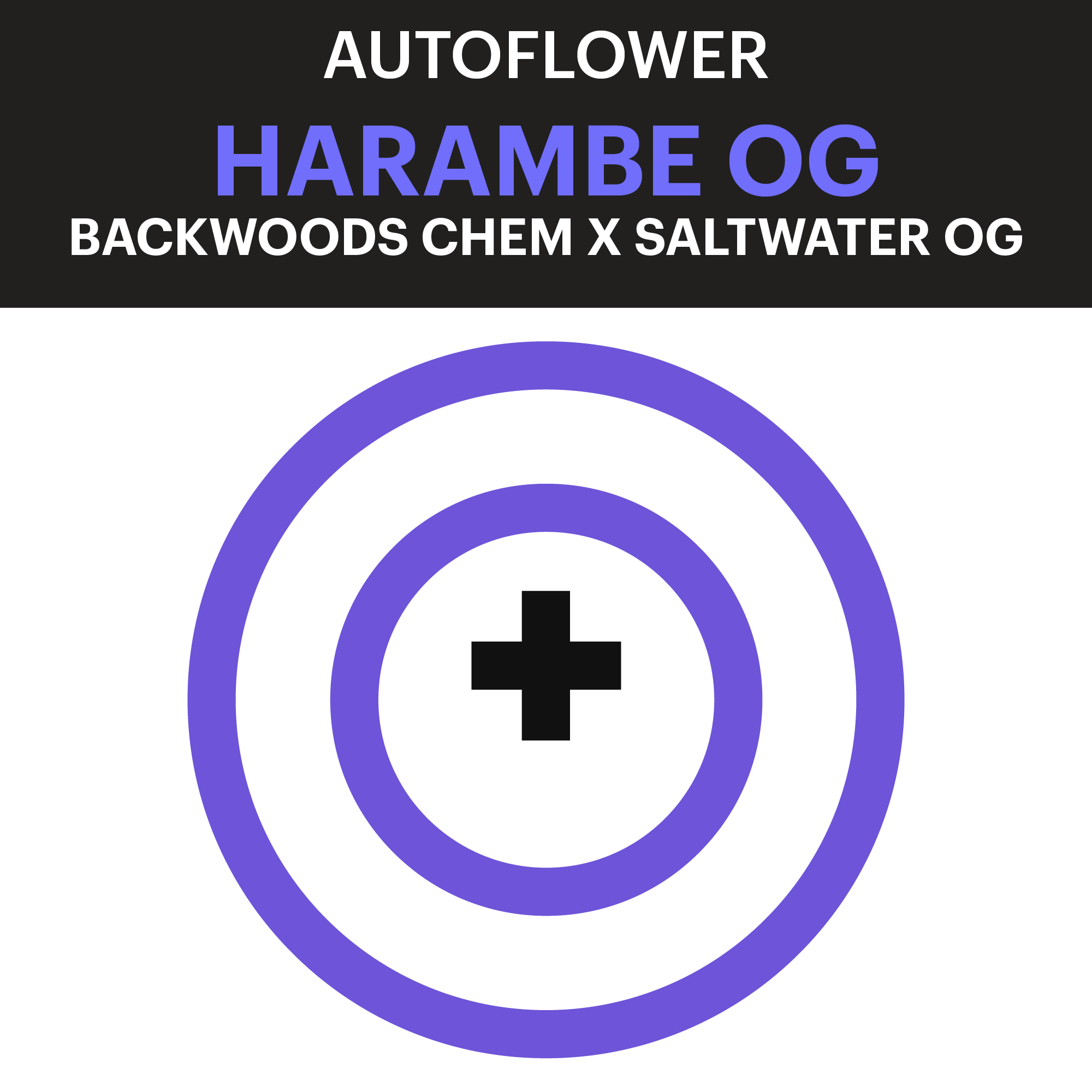 PCG_Autoflower_HarambeOG