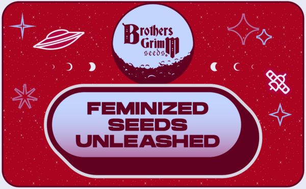 Feminized Seeds Unleashed