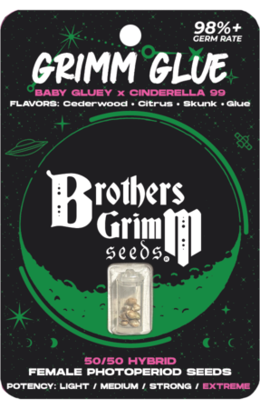 Cannabis Seed Bank Grimm Glue Seeds