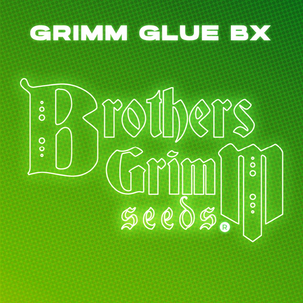 Grimm Glue BX Strain Seeds