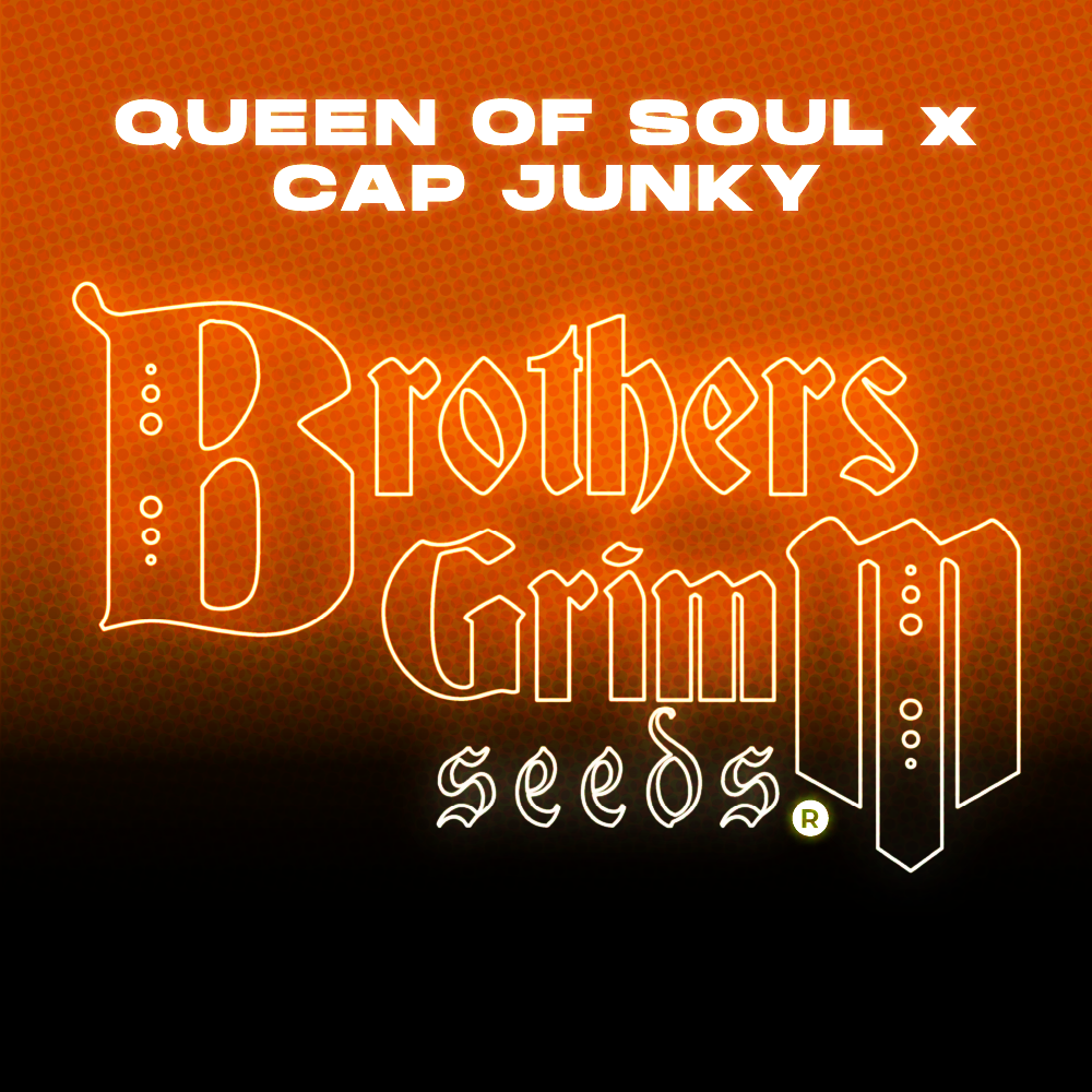 Queen Of Soul x Cap Junky Strain Seeds