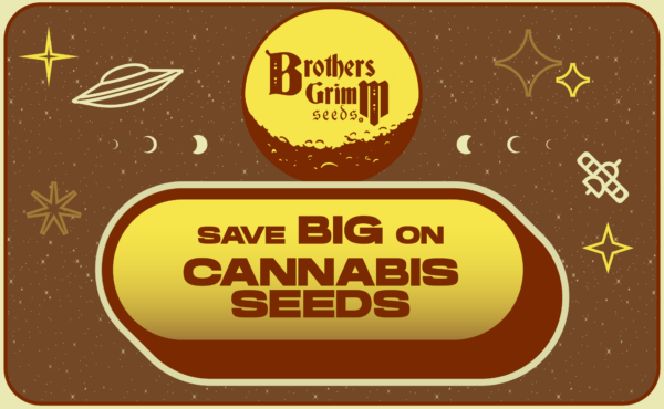Save BIG on Cannabis Seeds