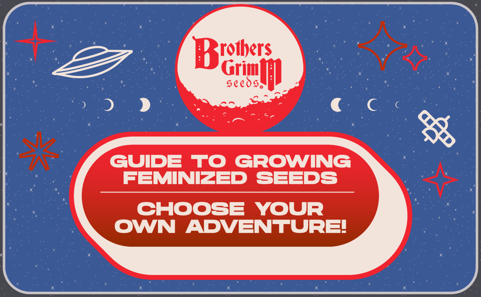 Gro Guidi Feminized Cannabis Grow Guide - Tips from Brothers Grimm