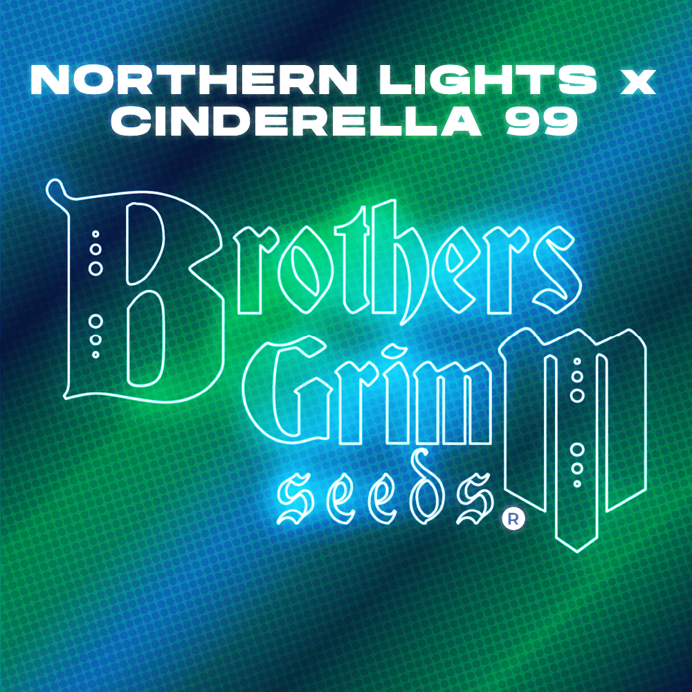 northern-lights-genetics-northern-lights-x-cinderella-99-seeds